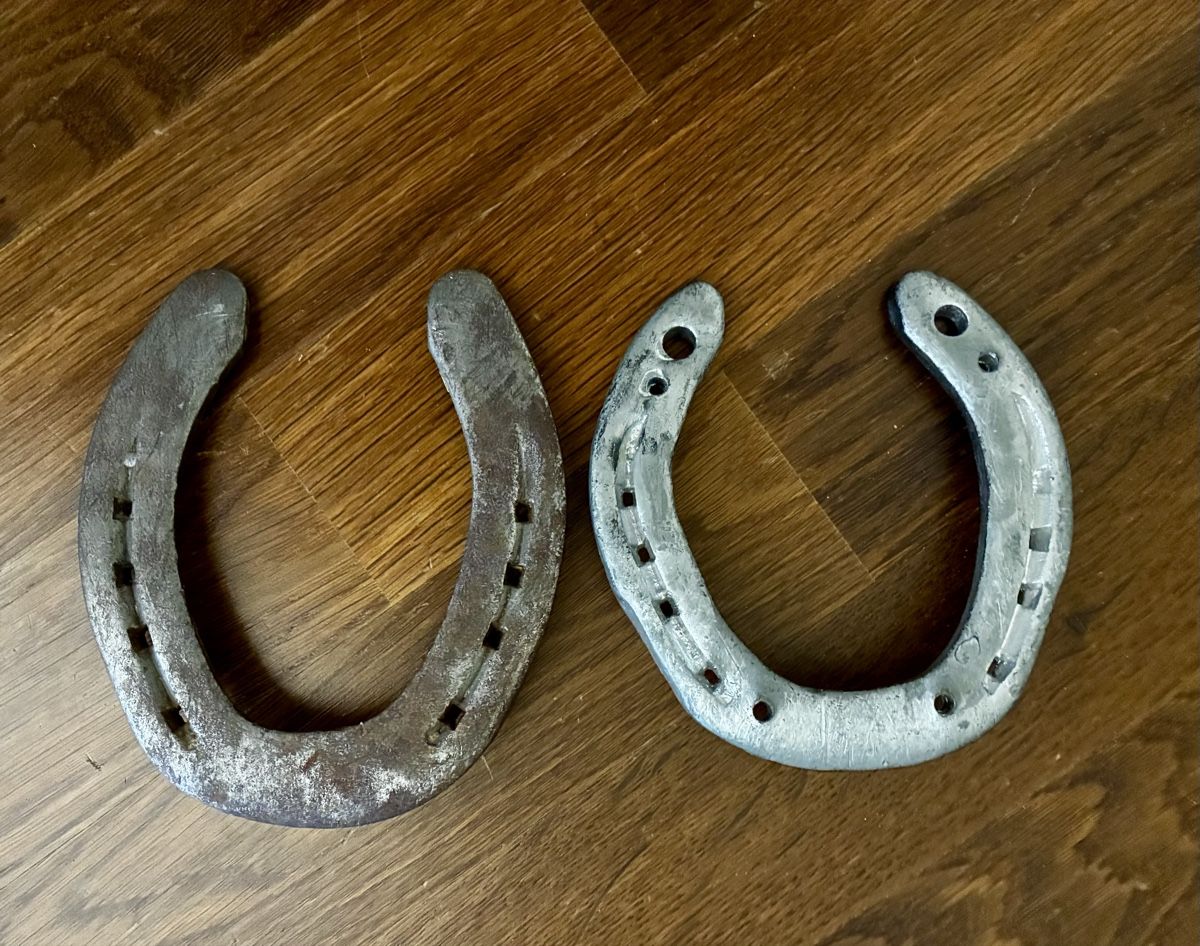 Altro in Accessori per animali: Hufeisen – Usato da Unterengstringen venduto da vivienneberger