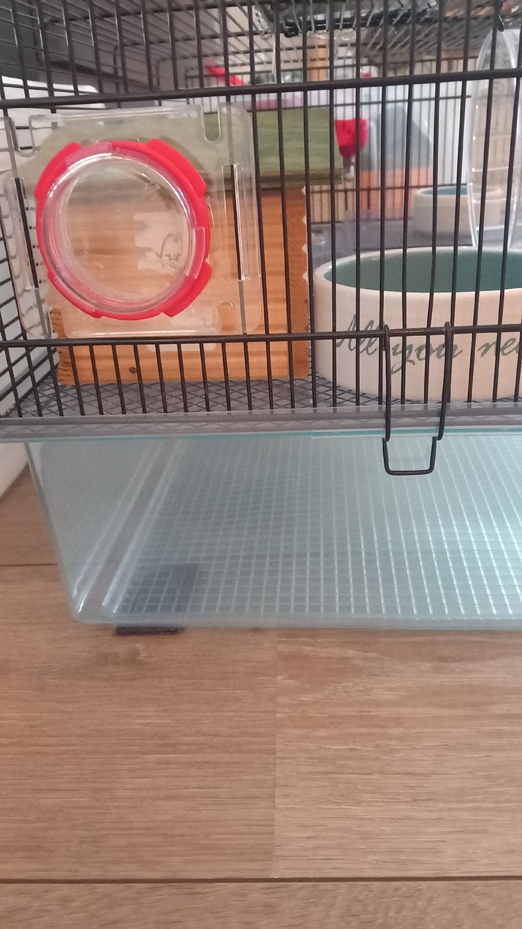 Gabbie, trasporto & Sicurezza: Hamsterkäfig mit Zubehör – Usato da Rorbas venduto da siramad 3