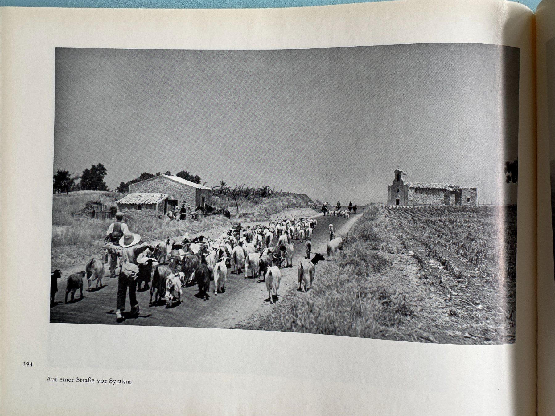 Libri: Gotthard  SCHUH  -  Italien – Usato da Basel venduto da Kornblumen 9