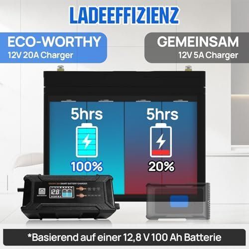 Accus & piles: LiFePO4 Batterieladegerät mit Multi-Current – Neuf avec emballage d'origine à Hundwil par Mr.Wong 6
