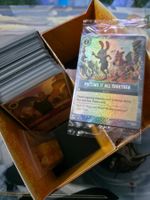 Disney Lorcana Wilds unknown Set (160+ Karten)