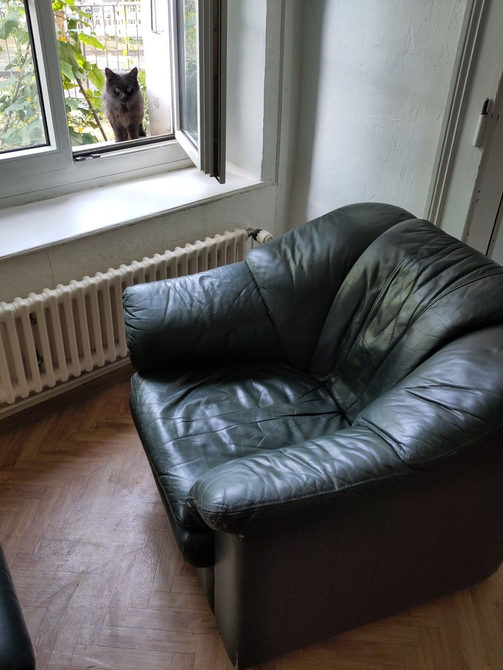 Fauteuils: Sofasessel - Set aus grünem Leder – D'occasion à Bern par Gnomlihans