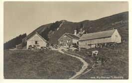 URNÄSCH Hochalp, Landwirtschaft, Alp Kenner, Kühe