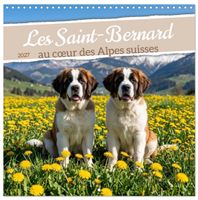 Les Saint-Bernard Calendrier 2027 Cristina Melas