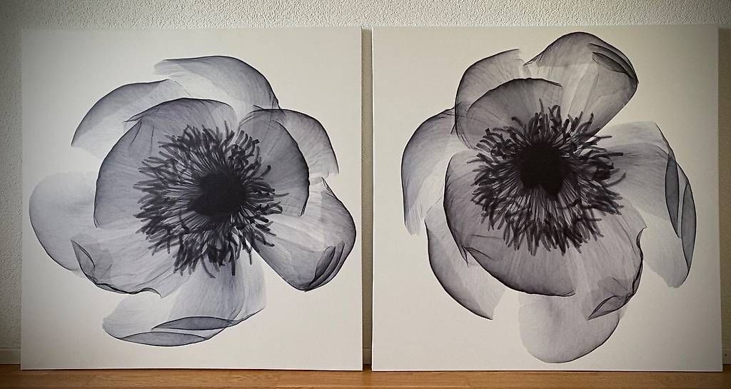 Foto & Immagini: Leinwandbilder Blume, IKEA Klöxhult – Usato da Ostermundigen venduto da mari.1308