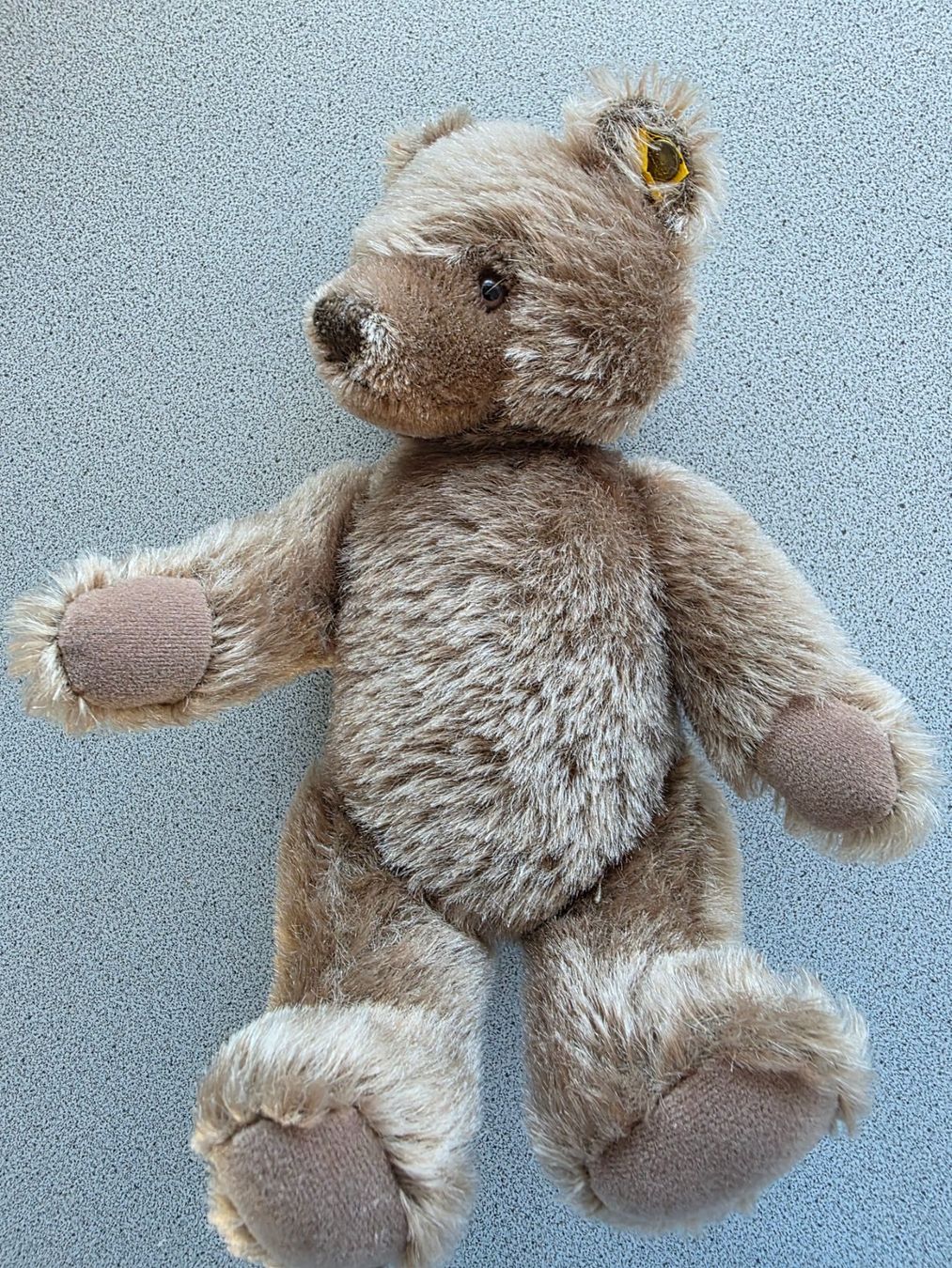 Steiff Giocattoli: STEIFF Teddy 25 cm, nicht bespielt – Usato da Burgdorf venduto da Liss