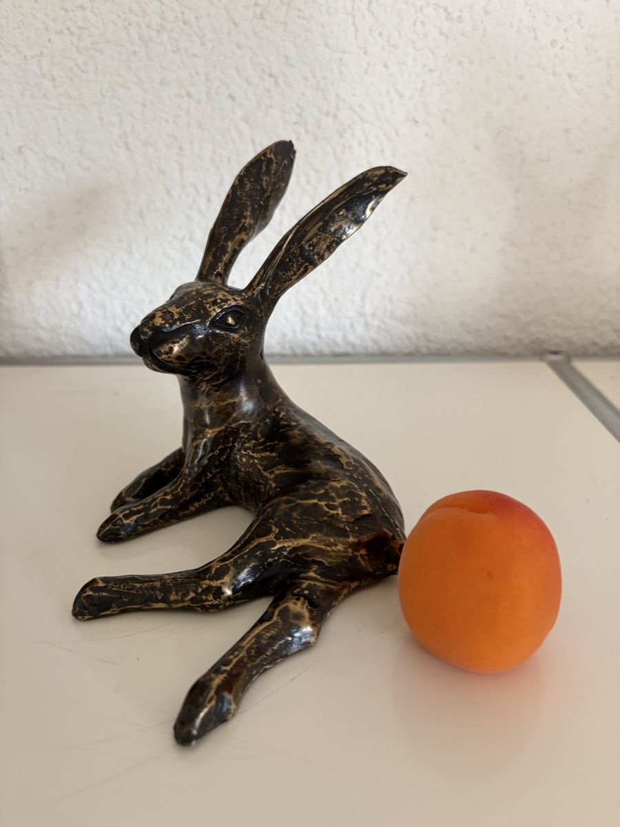 Sculture & Statue: Bronze Hase sitzend  – Nuovo (secondo la descrizione) da Zürich venduto da eileenchen1