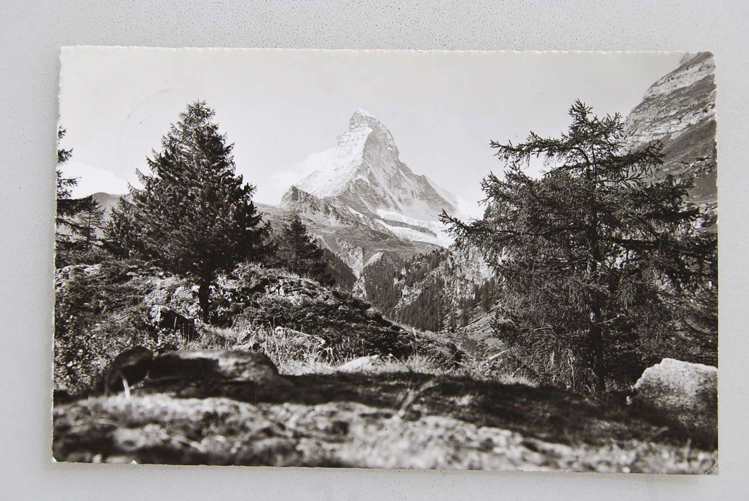 Cartoline postali: AK Matterhorn 4505 m 1955 – Usato da Rüfenacht BE venduto da Toro06