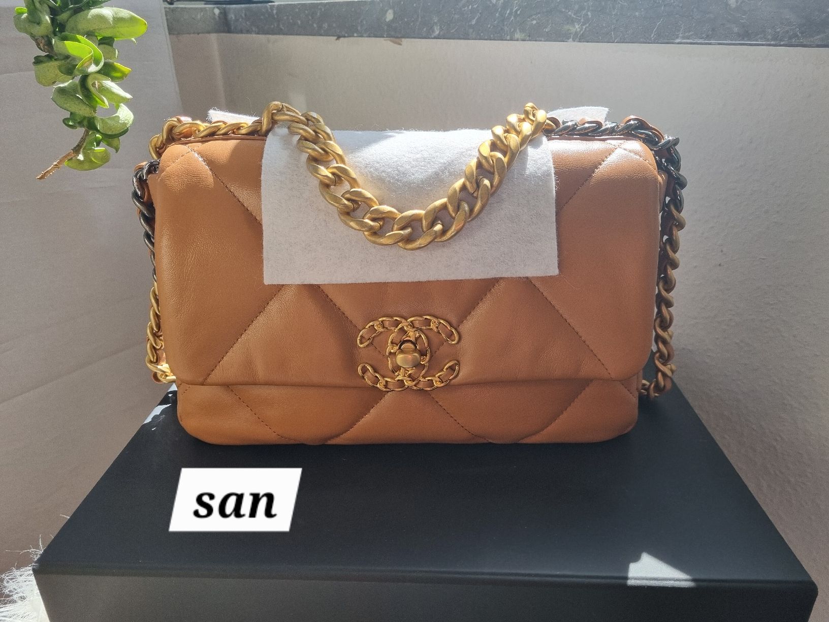 Chanel Borse da donna: Chanel 19 Small, Neu und unbenutzt – Nuovo e nell'imballaggio originale da Basel venduto da lioness71 1