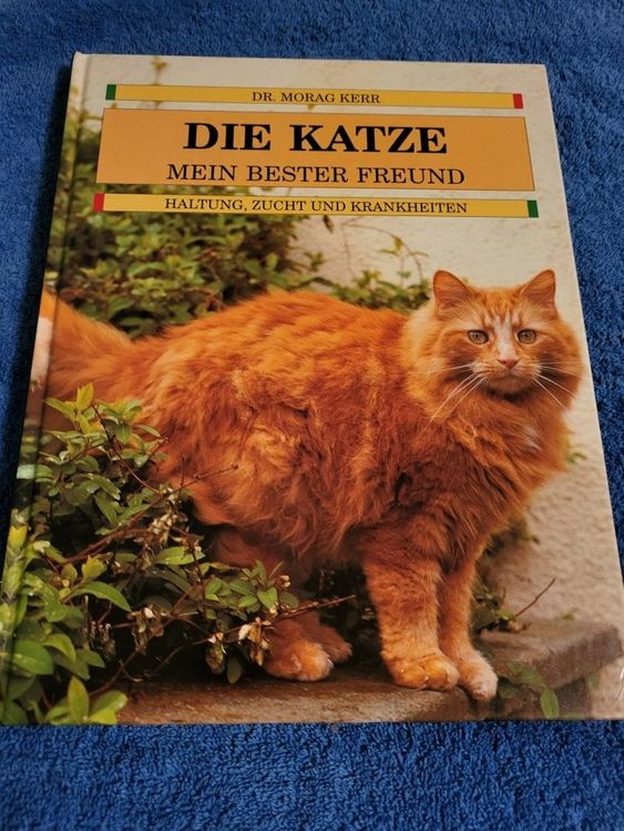 Die Katze Mein bester Freund Kaufen auf Ricardo
