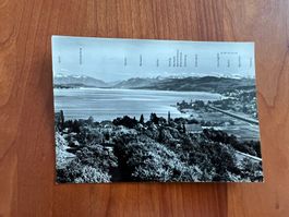 Postkarte Panorama von der Halbinsel Au1958  (M544)