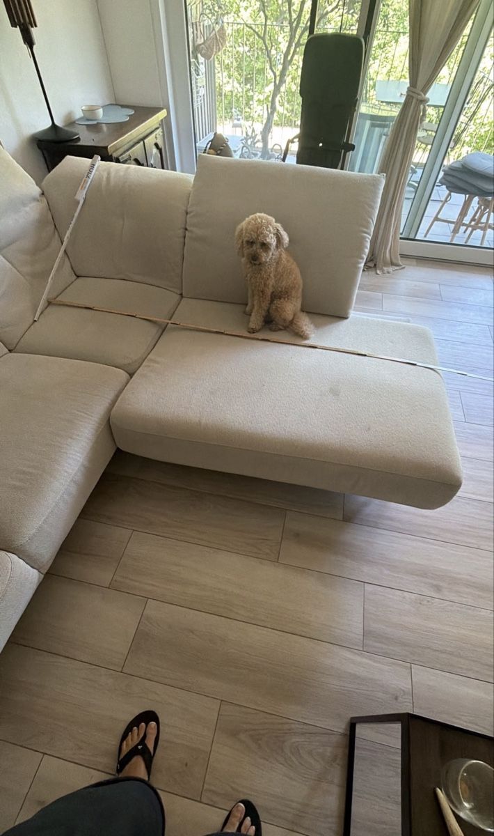 Sofas: Sofa – Gebraucht aus Turbenthal von 1einhorn 3