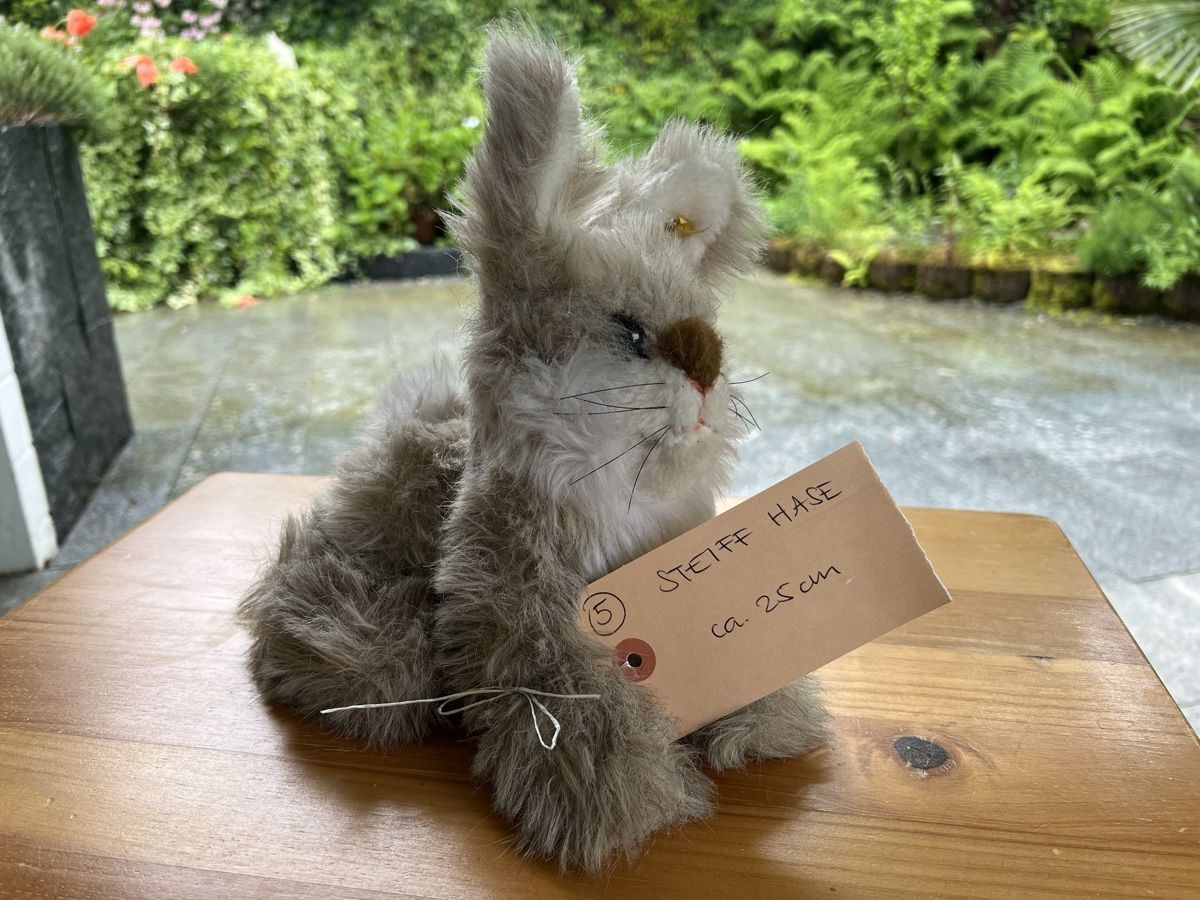 Steiff Giocattoli: Steiff Teddy Hase – Usato da Pfeffingen venduto da Jbieli