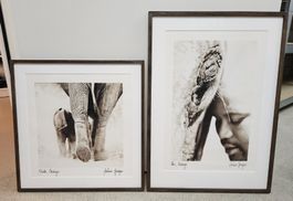 Fotografie Graham Springer Elefant gerahmt - Top Zustand!