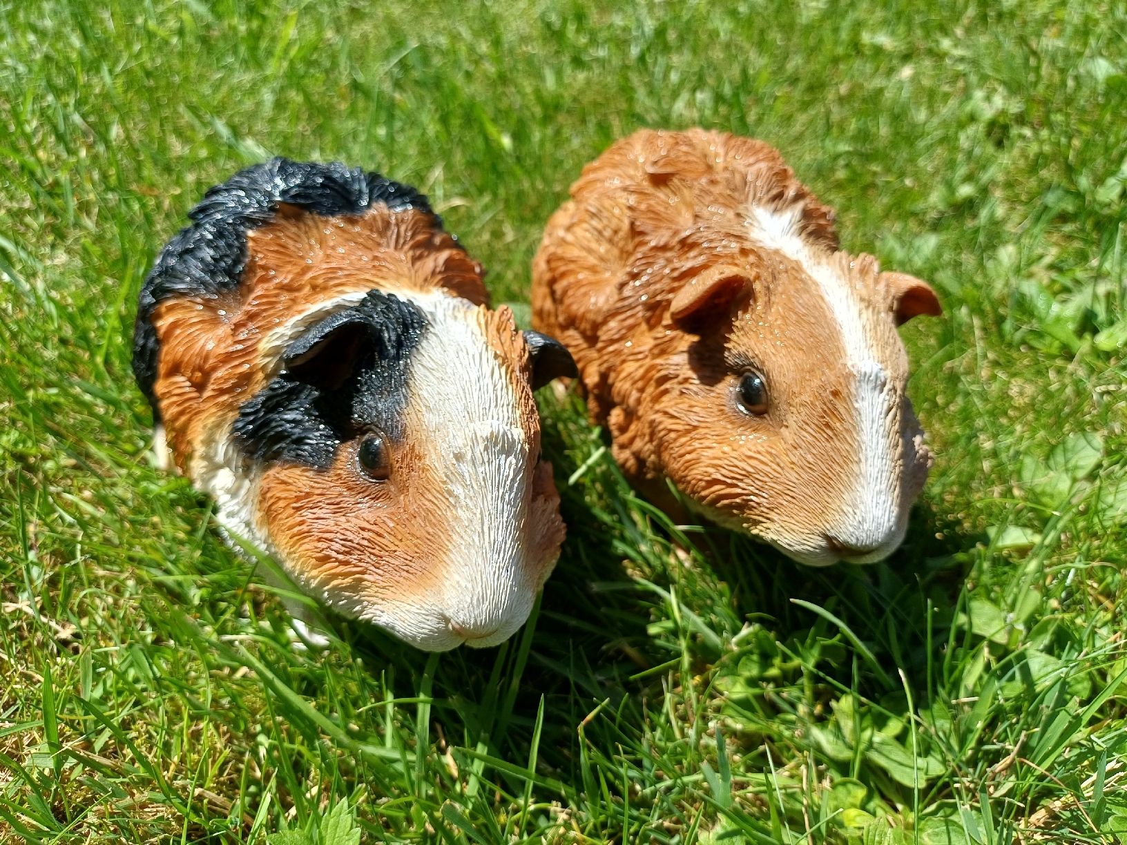 Statuette: 2er Set Meerschweinchen Figuren  – Usato da Aarwangen venduto da chr_tdh2
