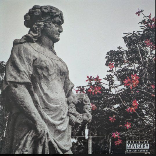 Dischi in vinile: Reckonize Real & Guilty Simpson "Carved From Stone" Vinyle – Usato da St-Prex venduto da kro_7jxt