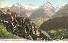 Schynige Platte wetterhorn