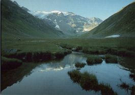 Alte Ansichtskarte Curciusa Alta mit Gletscher, top!