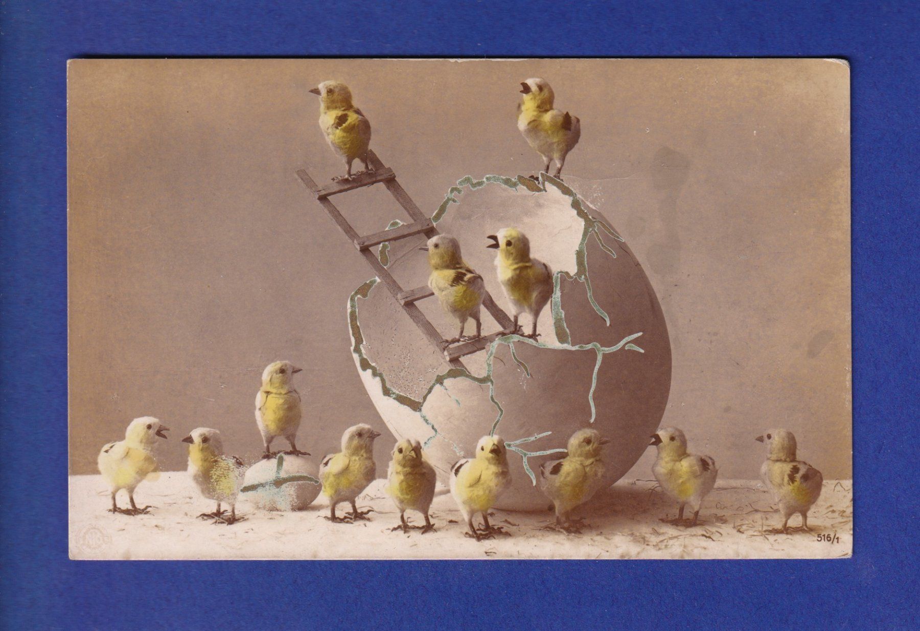 Cartes postales: OISEAU - Plein de poussins – D'occasion à Pully par nicecards-shop