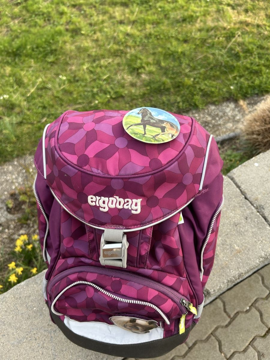 Ergobag Borse & Zaini: Ergobag Schulrucksack Top Zustand – Usato da Nänikon venduto da Mrzulu 2