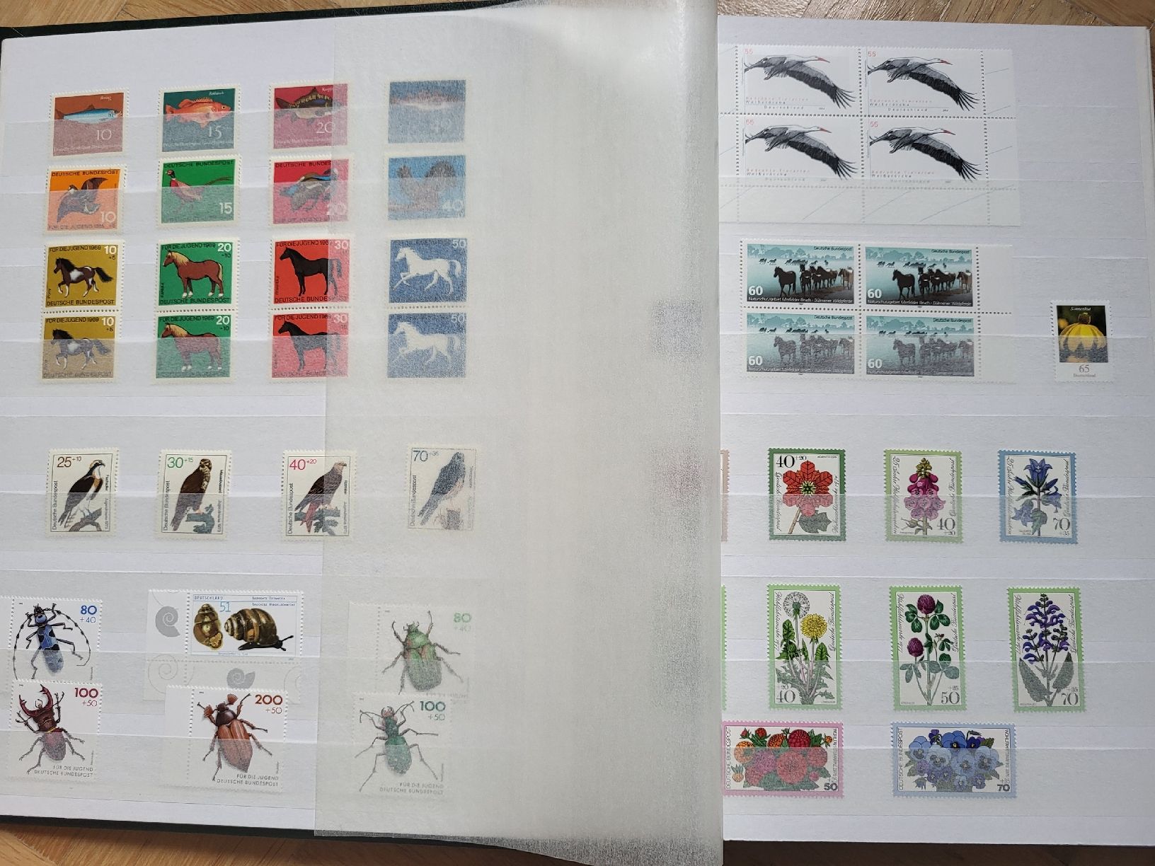 Tutti i francobolli: Deutsche Briefmarken Sammlung  / Neu! Abbildung 10. – Nuovo (secondo la descrizione) da stäfa venduto da brandy66 1