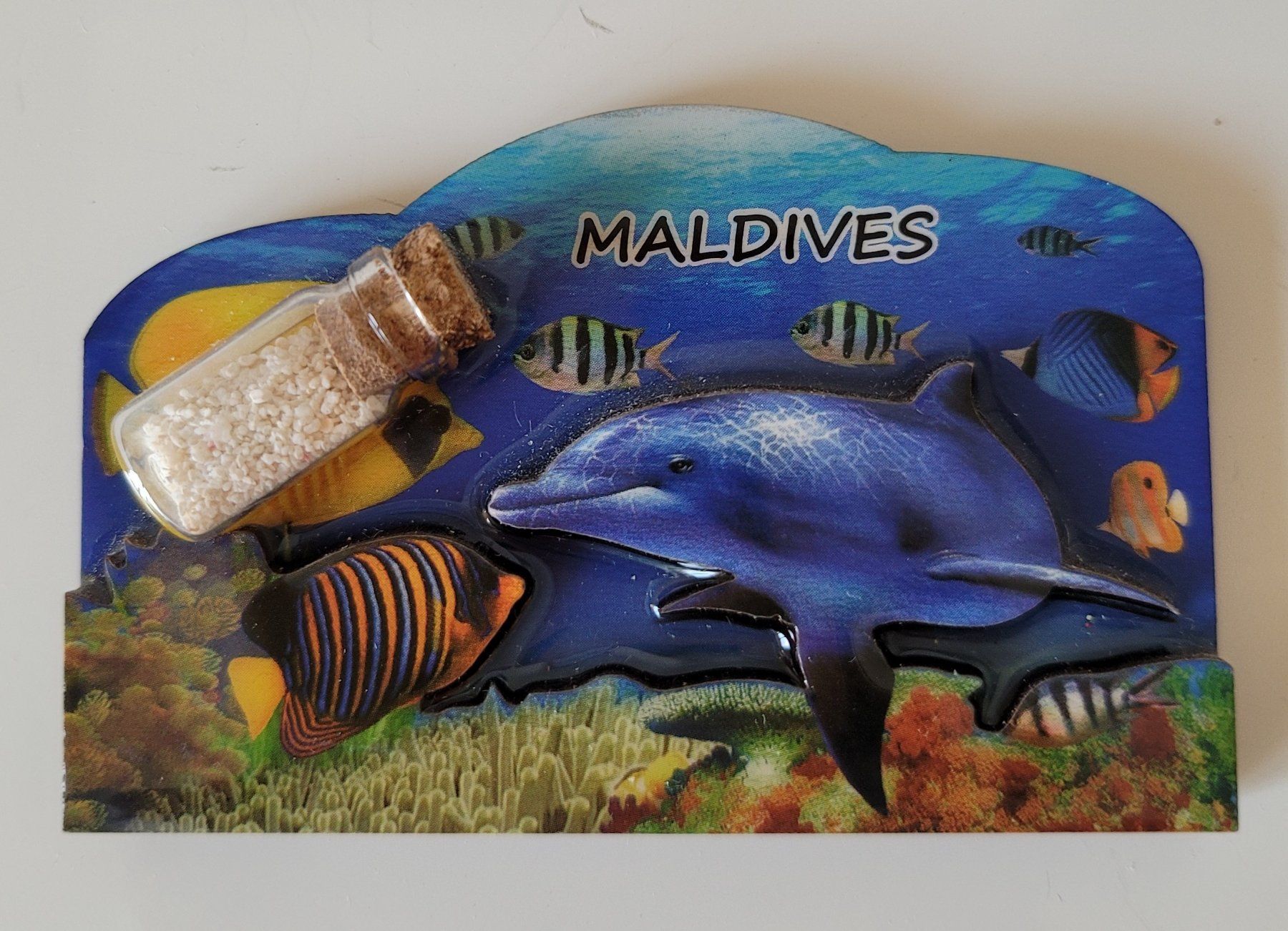 Calamite: Kühlschrank Magnet Maldives Malediven 5 x 8 cm – Usato da Zürich venduto da fourpaws