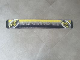 Schal BSC Young Boys Bern Vintage