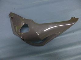 Kawasaki Z1000 / 2018 Bugspoiler links