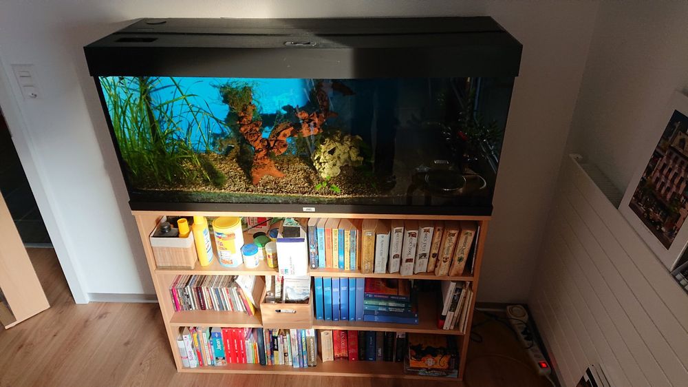 Juwel Aquarium 240l mit Fischen, Lichtkasten defekt Kaufen auf Ricardo