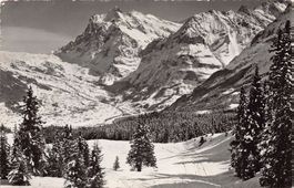 ALPIN: Grindelwald, Wetterhorn, gelaufen um 1955