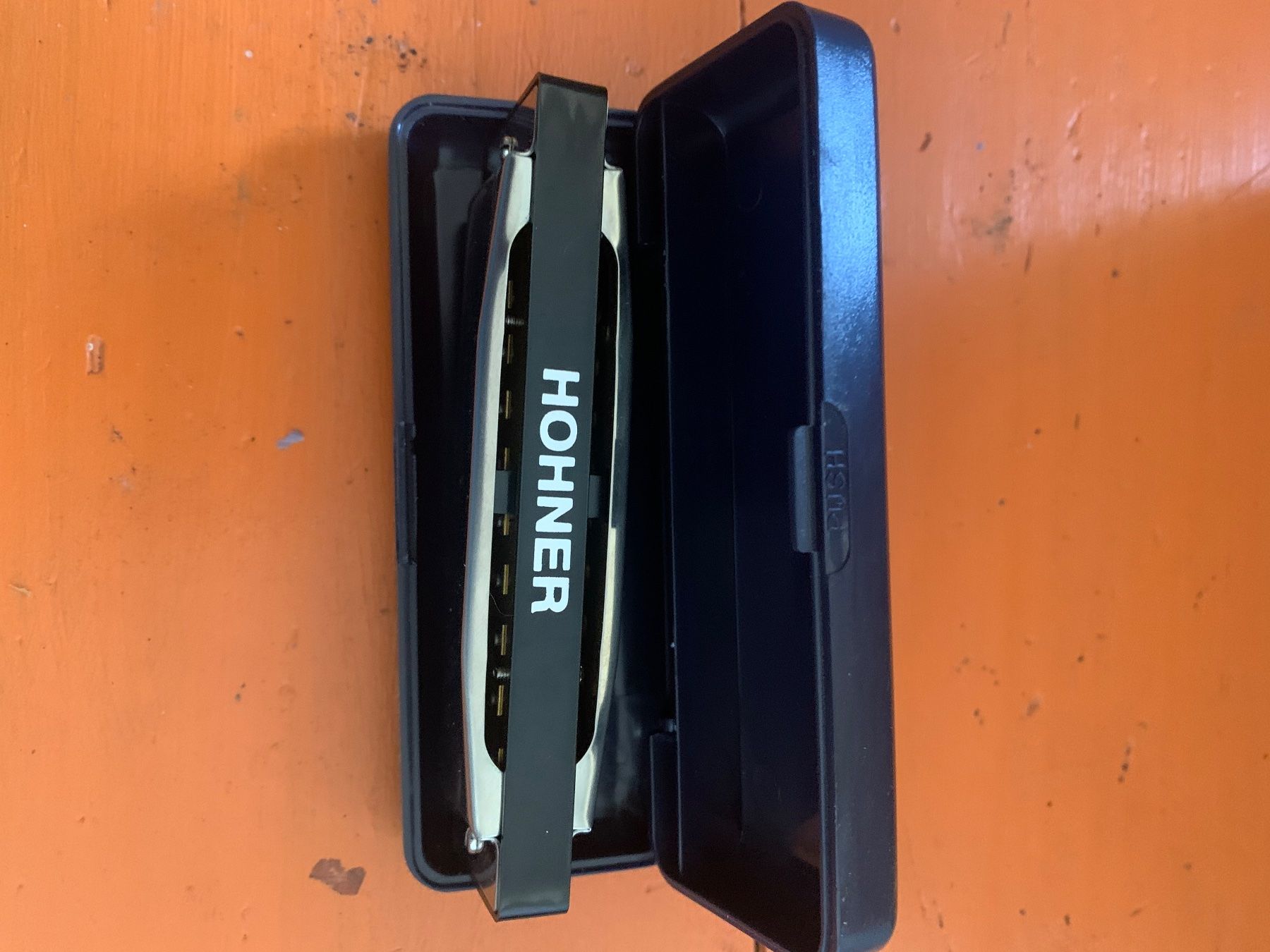 Strumenti musicali: Mundharmonika Silver Star – Usato da Brugg AG venduto da Simone92 5