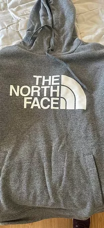 Pull north face 