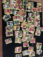 Panini Bilder