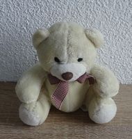 Teddy