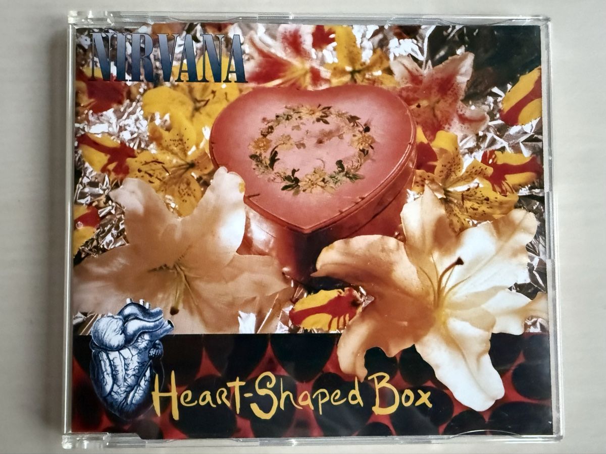 CD: Nirvana Singles Box Set CD 6 Singles  – Usato da Oberried Brienz venduto da Chyara 3