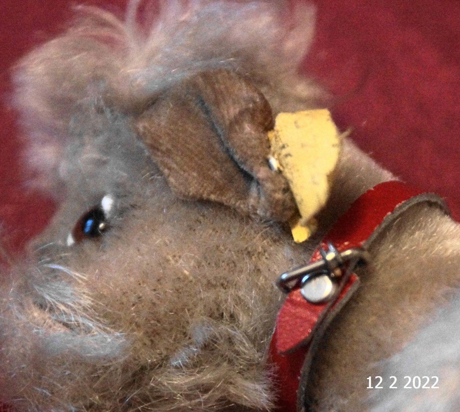 Steiff Giocattoli: Steiff Hund ca.1960er – Usato da Basel venduto da The_Onliners 2