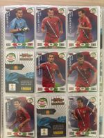 Panini Road to 2014 FIFA World Cup Brazil - Rossija