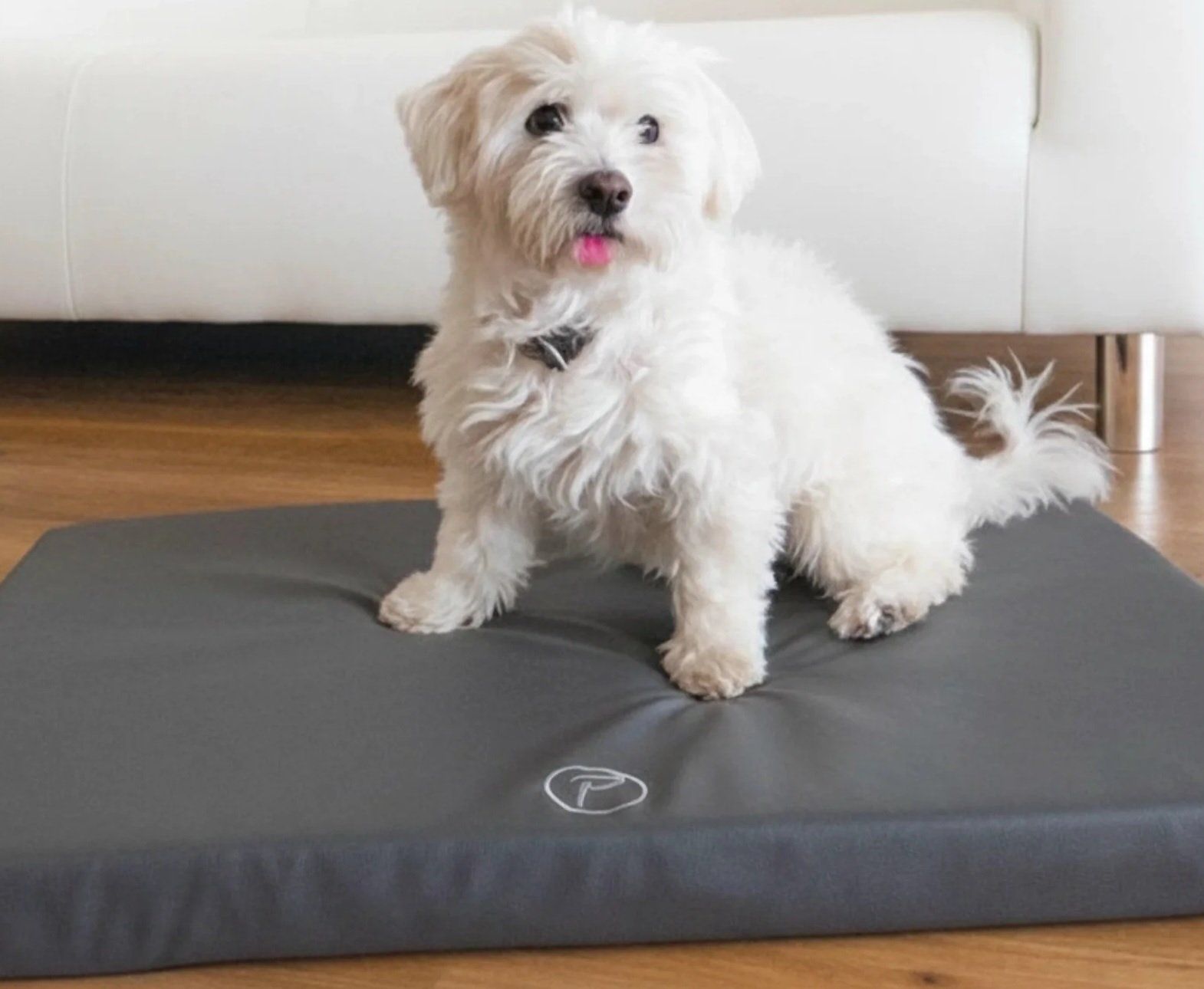 Cucce & Letti: Orthopädische Hundematte – Nuovo (secondo la descrizione) da Humlikon venduto da GX30