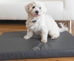 Orthopädische Hundematte