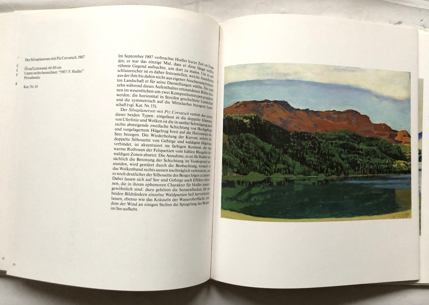 Libri: Ferdinand Hodler - Landschaften - Kunstband – Usato da Schaffhausen venduto da durruti 4