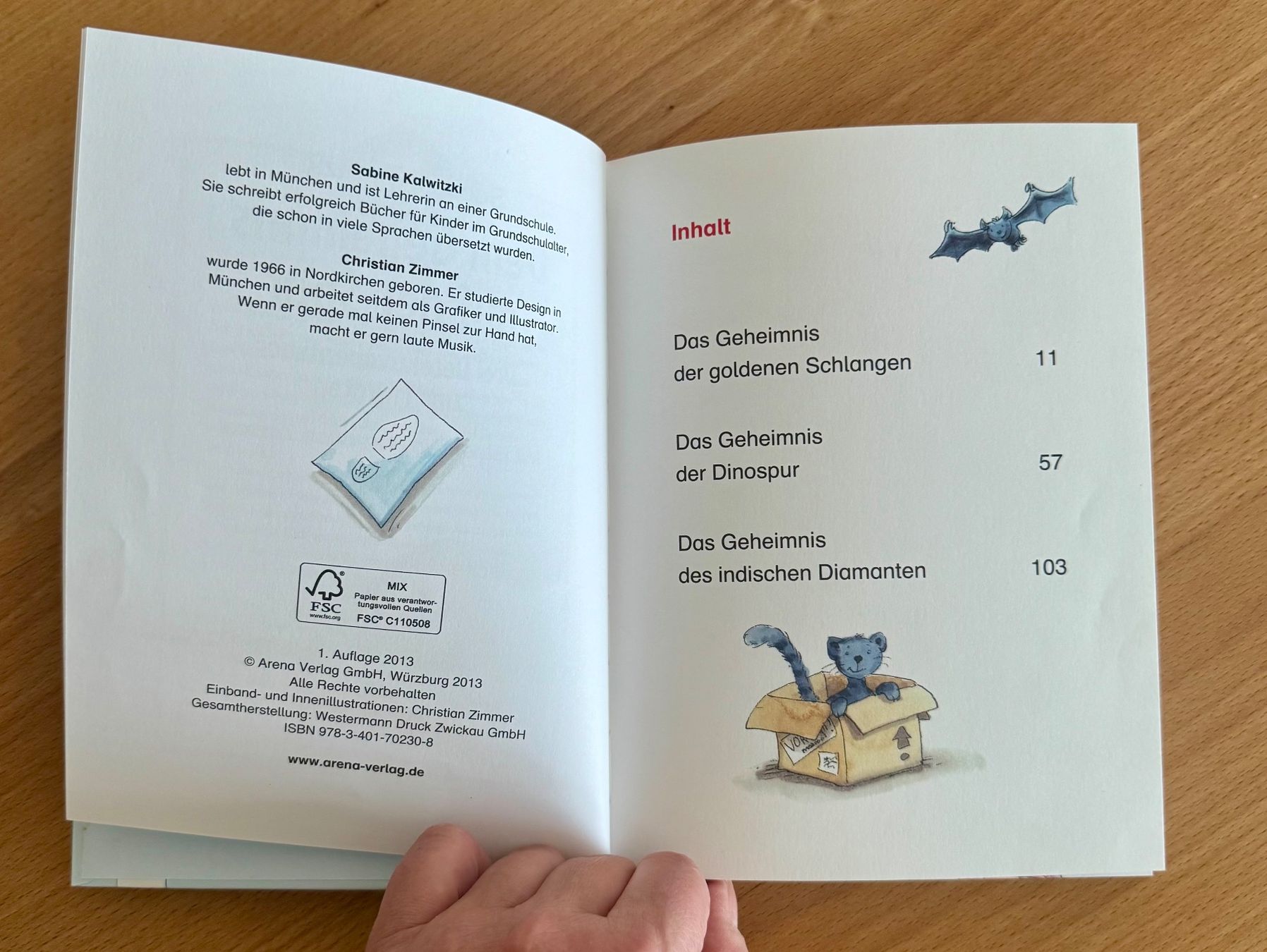 Libri: Kinderbuch "Dem Geheimnis auf der Spur" – Usato da Gersau venduto da walin_6442 2