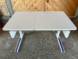 Kinder-Jugendschreibtisch Moll