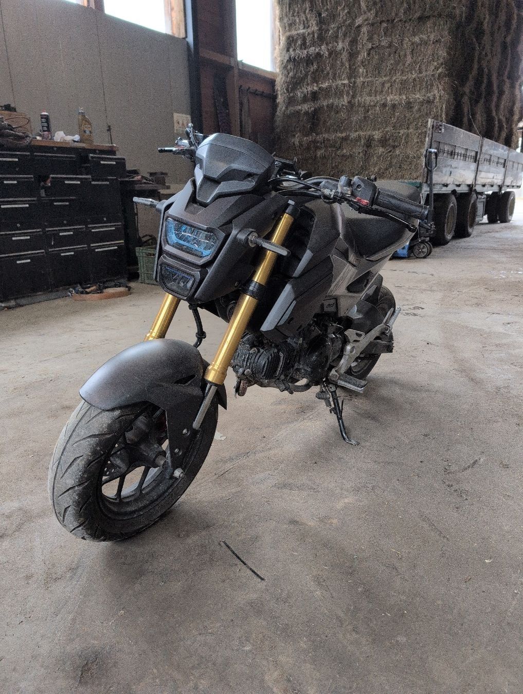 Honda Altro: Honda msx 125 Motorrad – Usato da Niederrohrdorf venduto da Mischa.villiger