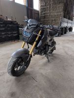 Honda msx 125 Motorrad