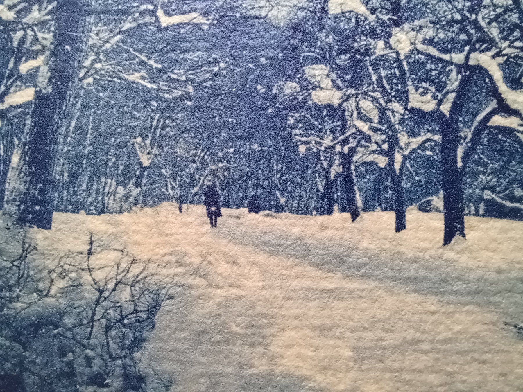 Ansichtskarten: ZH, Winterlandschaft, wo, Stempel Birmensdorf – Gebraucht aus Aarau Rohr von mgvw 1