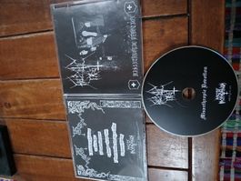 hellvetic frost- mis...