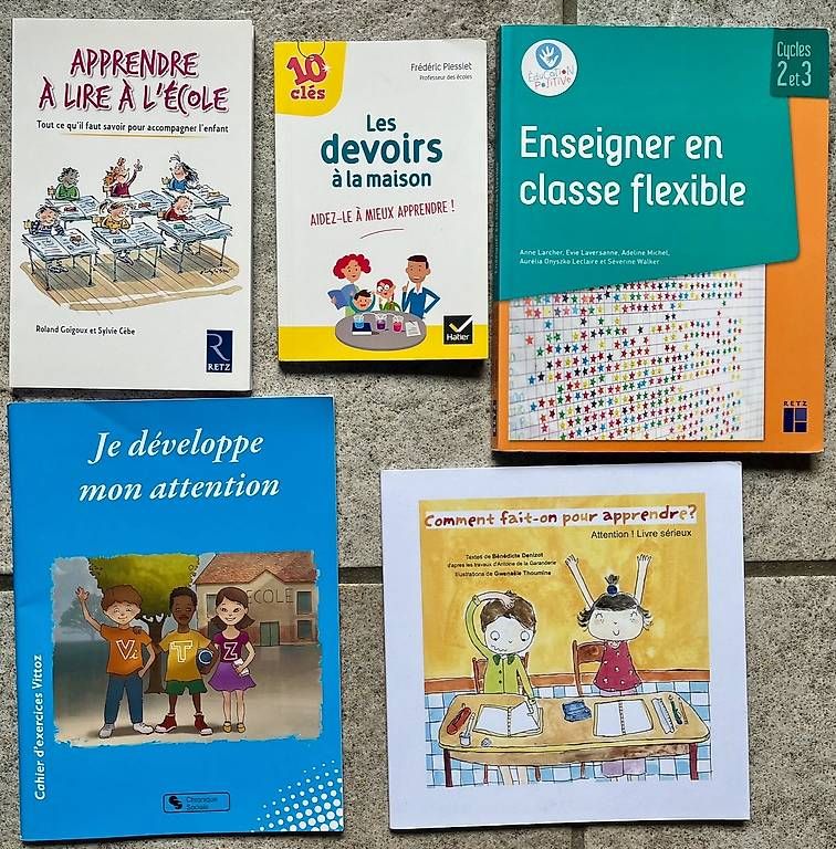 Bücher: Divers livres de pédagogie – Gebraucht aus Bouveret von zozoh 2