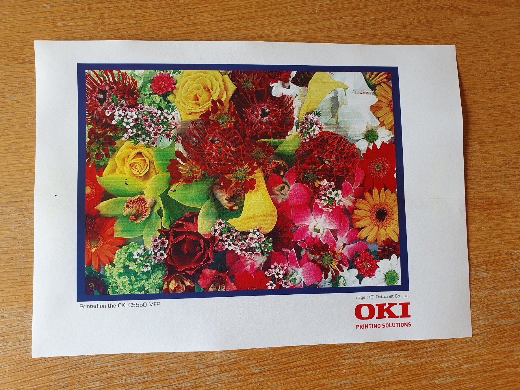 Oki Stampanti: Oki C5550 MFP (C5800, C5900) duplex – Difettoso da Marly venduto da G-blitz 3
