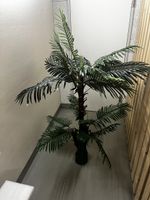 Verkauf bis 14.8! Künstliche Palme Dekoobjekt