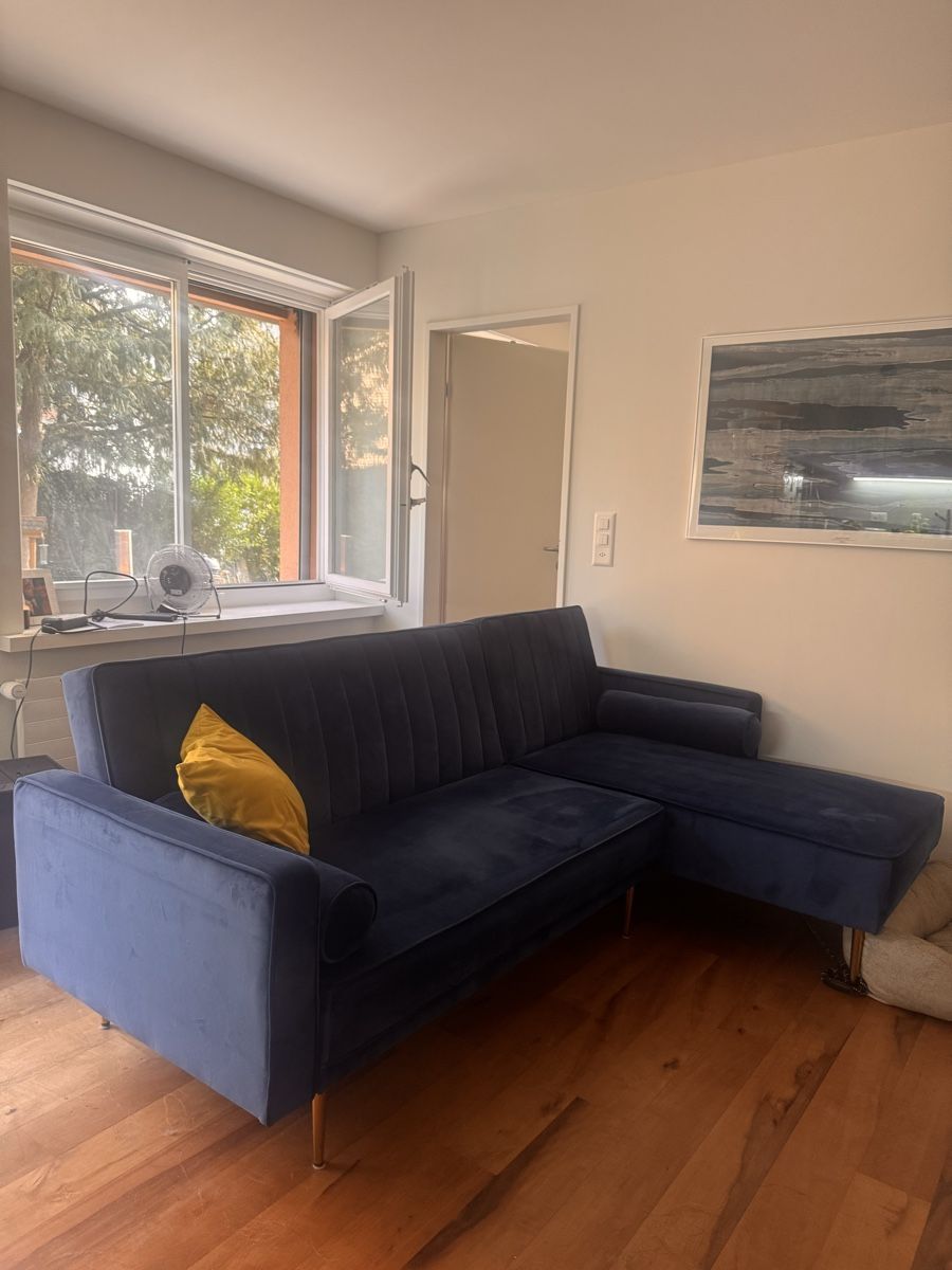 Divani: Blue sofa – Usato da Zürich venduto da pon_pv8m
